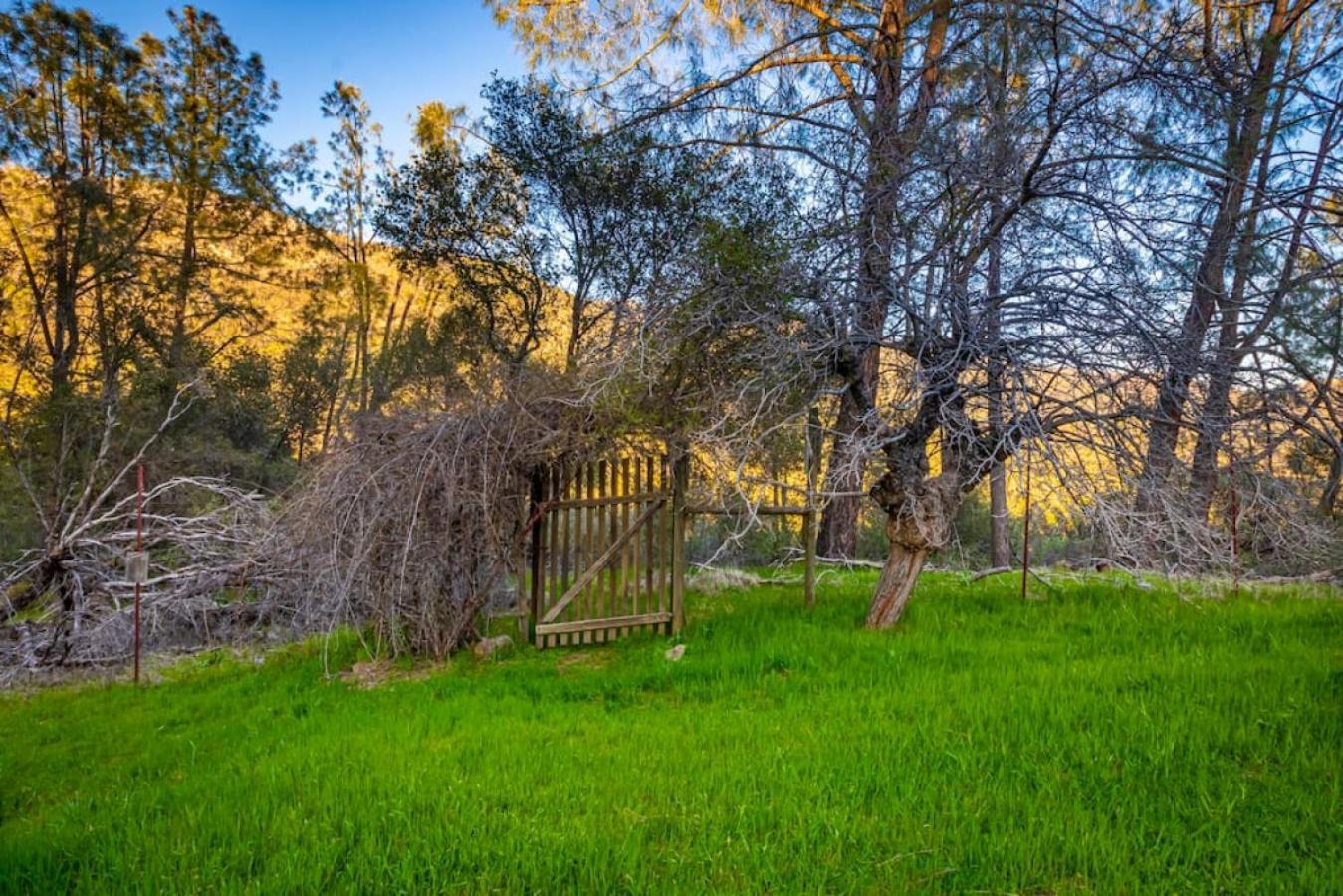 North Fork Sierra Vista Lookout Lodge With Creek, Waterfall And Waterholes, Minutes From Bass Lake And Yosemite South Gate מראה חיצוני תמונה