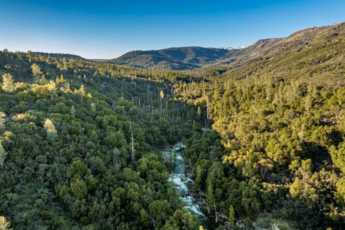 North Fork Sierra Vista Lookout Lodge With Creek, Waterfall And Waterholes, Minutes From Bass Lake And Yosemite South Gate מראה חיצוני תמונה